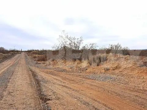 VENTA CAMPO 10 HECTAR COLONIA SAN JOSE SENILLOSA