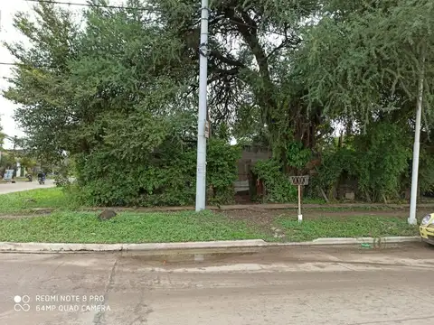 Obligado 2496