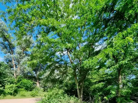 Terreno en Venta en Pilar, USD 68.000