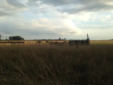 A 800m de R3 y a 3km de Las Flores