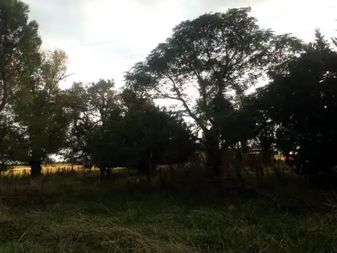 A 800m de R3 y a 3km de Las Flores