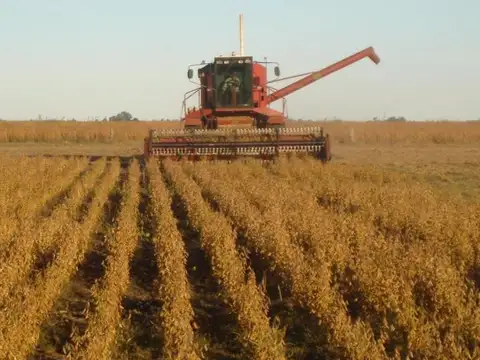 Campo en Venta de 1.100  ha