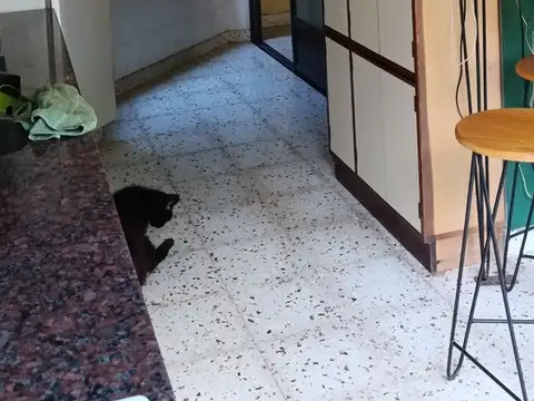 Casa 7 ambientes con 1 baño