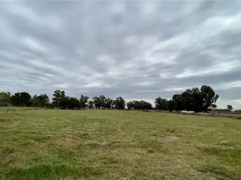 paseo de los libres