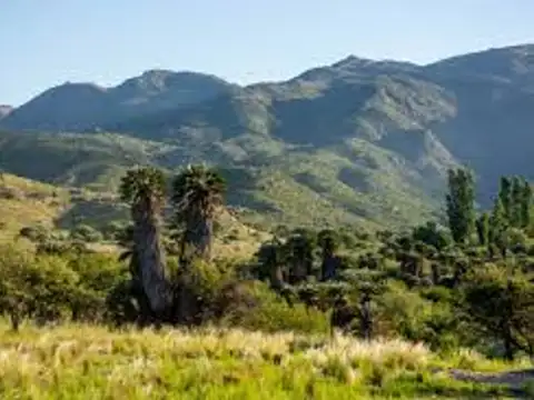 La Chacra del Monte de oro