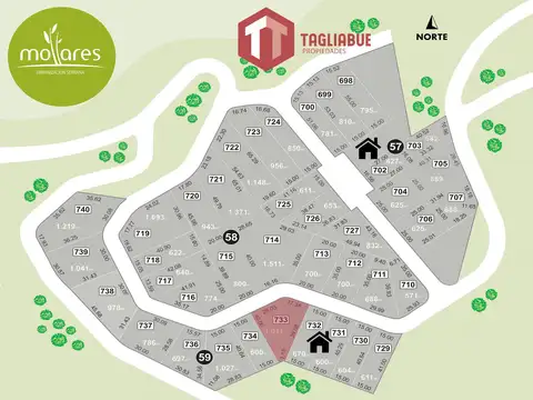 Los Mollares - LOTE 733