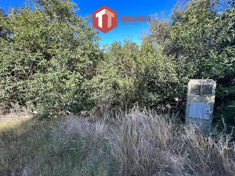 Los Mollares - LOTE 733