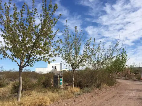 Chocón MChocón Medio, Mz 2F L17