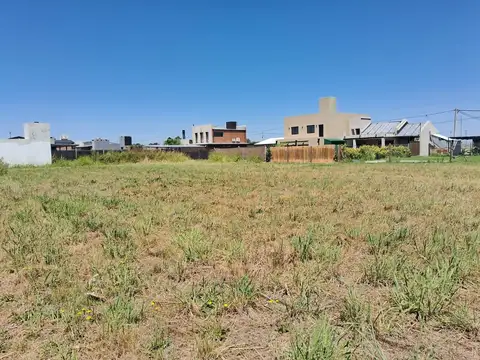 Terreno en Venta de 300,0 m2