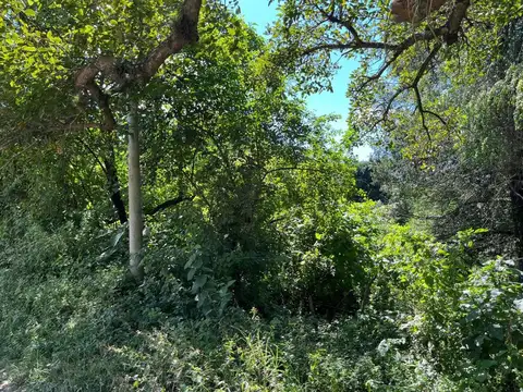 Terreno en Venta en Raco, USD 30.000