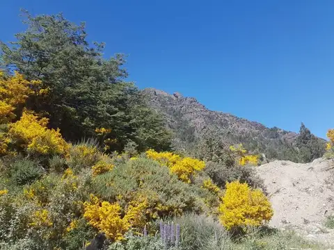 VENTA ESPECTACULAR LOTE PASTORIL