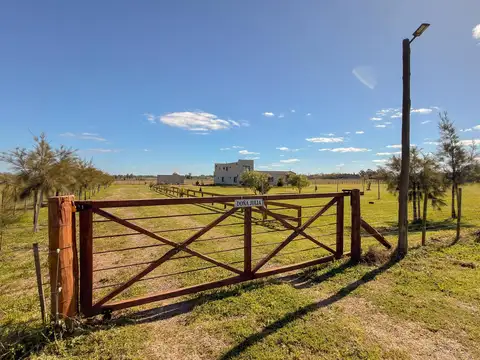 Chacra en Venta en San Antonio De Areco