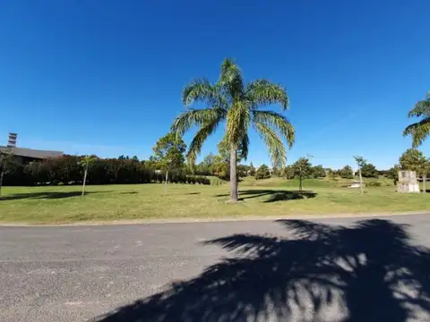 El Solar 45