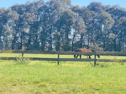 Haras San Pablo Club de Campo 100