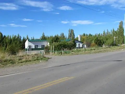 RUTA 4O 100