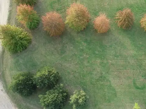 Terreno en Venta de 3000,0 m2