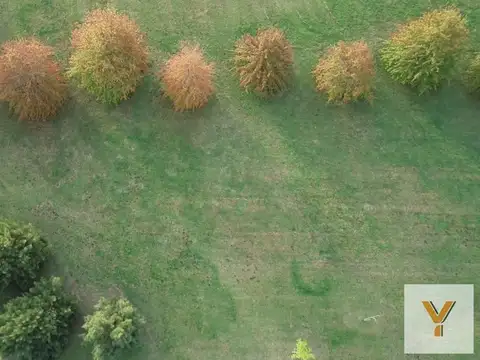 Terreno en Venta de 3000,0 m2