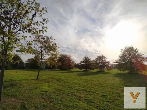 La Primavera Golf