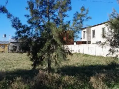 Tucumán entre Gatti y Salta