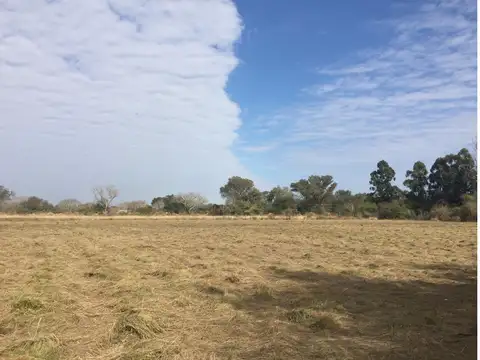 Defensa Norte Y Camino Viejo A Colonia Zona Ruta 11