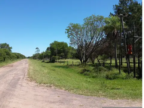 5 HECTAREAS EN VENTA