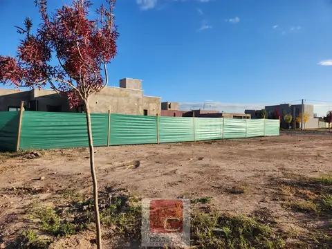 Terreno en Venta 26  mts Fondo