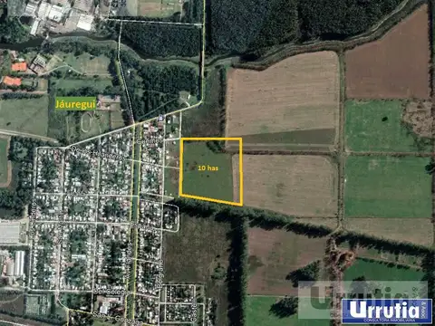 Campo - Jauregui Jose Maria