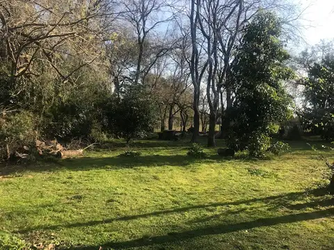 ALBERT SCHWEITZER  EL CAZADOR 500