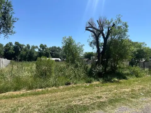 Terreno en Venta de 350,0 m2