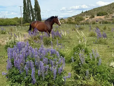 Terreno en Venta en Rio Pico, USD 60.000