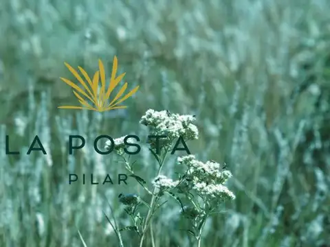 Doctor Manuel Argerich 1200