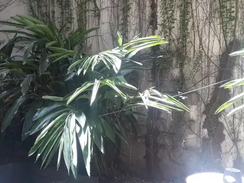 Maipu 800