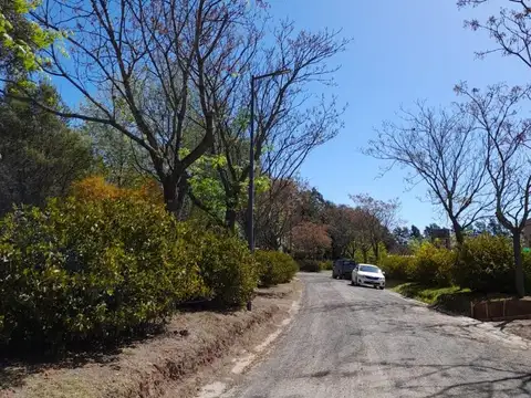 Ruta 8