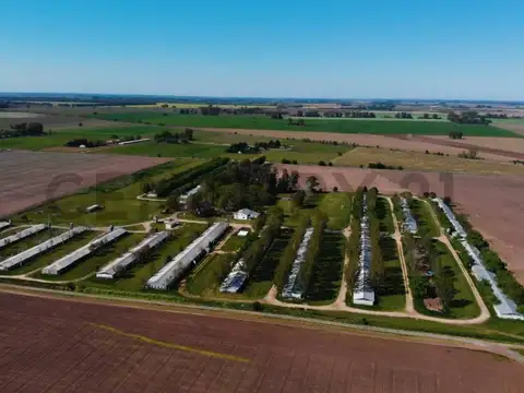 ruta 193 & camino a andonae , Piso 0