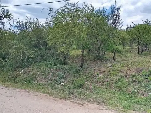 VALLE HERMOSO, VAQUERIA CALLE PUBLICA SIN NUMERO 100