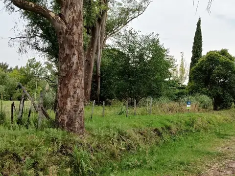 La Pampa  y El Dorado