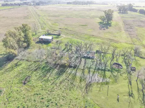 Terreno Campo  en Alquiler en General Rodríguez