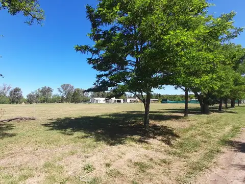 Terreno en Venta 40  mts Frente