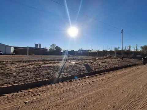 Pje. Auquinco 100