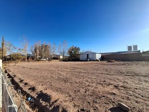 Alquilo Galpón