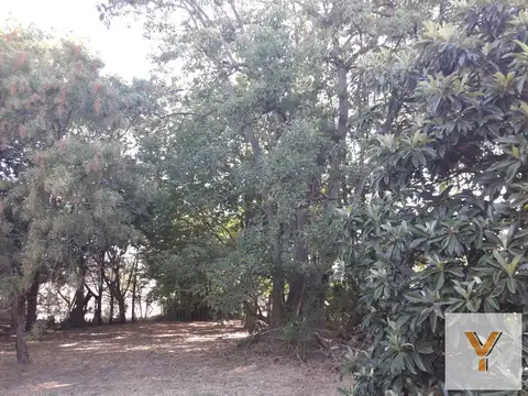 Terreno en venta - 20 x 56mts - 1123mts2 - El Rodeo, Abasto, La Plata