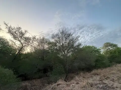 Terreno en Venta de 56400,0 m2