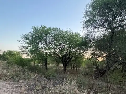 Venta de Lotes en Santa Teresa – Paraje Cardozo
