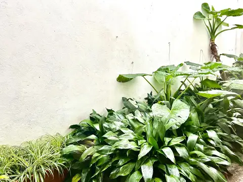 DEPARTAMENTO EN VENTA  4 AMBIENTES  DEPENDENCIA  RECOLETA