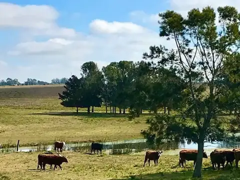 Quinta en Venta en Manantiales, USD 350.000