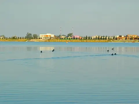 Lote en Venta en Santa Clara, Villanueva 100