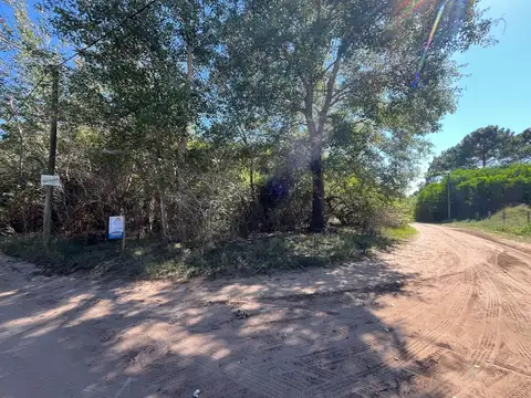 Terreno en Venta 37  mts Fondo