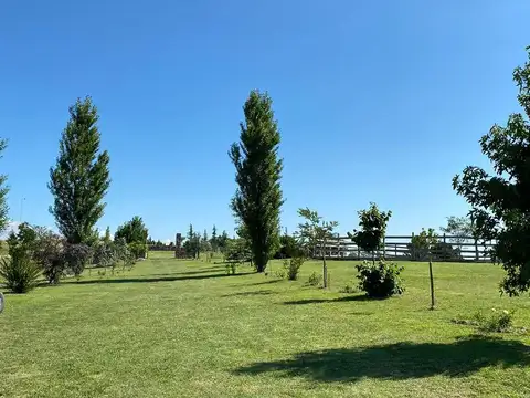 ATOS PAMPA