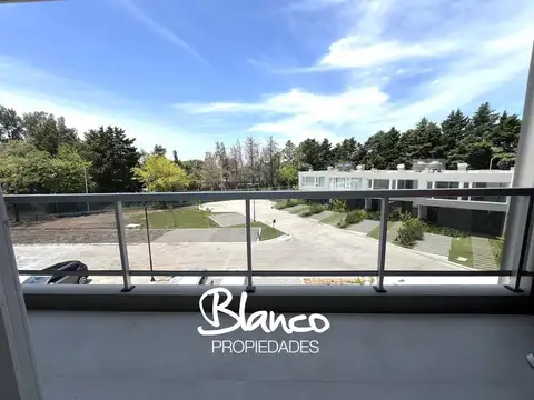 Luciérnagas Pilar 300