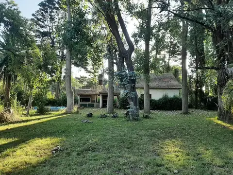 rio areco 100